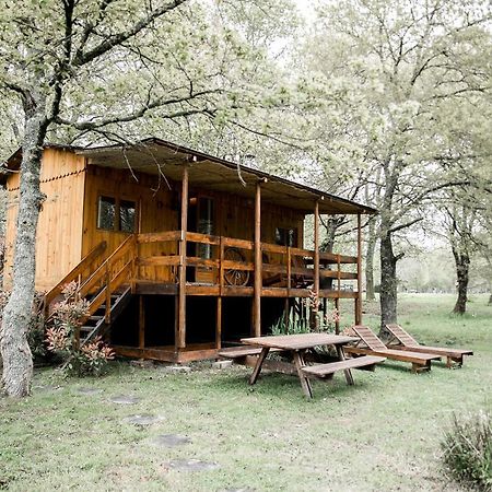 Le Ranch Amadeus Bed & Breakfast Saint-Paul-en-Born Eksteriør bilde
