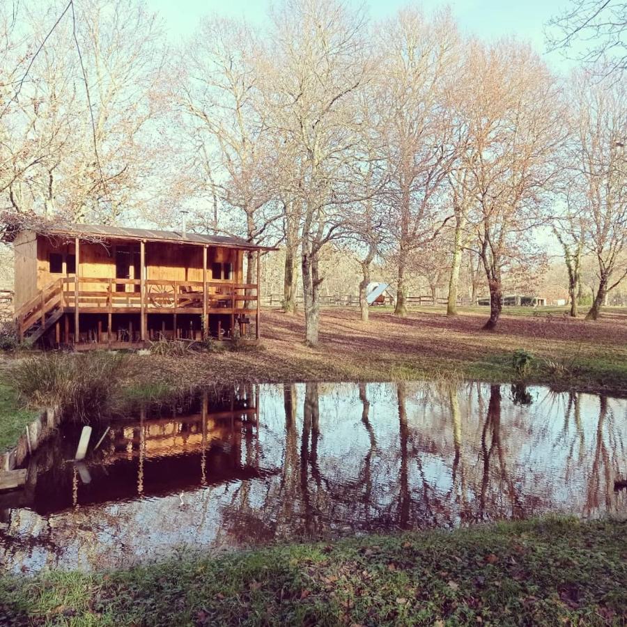 Le Ranch Amadeus Bed & Breakfast Saint-Paul-en-Born Eksteriør bilde