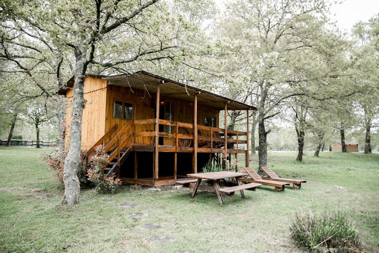 Le Ranch Amadeus Bed & Breakfast Saint-Paul-en-Born Eksteriør bilde