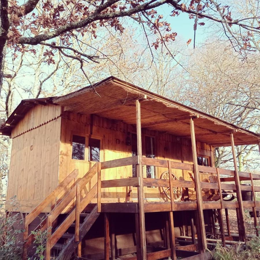 Le Ranch Amadeus Bed & Breakfast Saint-Paul-en-Born Eksteriør bilde