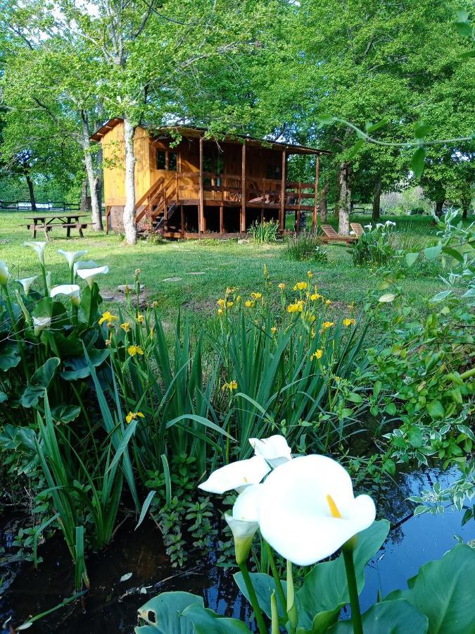 Le Ranch Amadeus Bed & Breakfast Saint-Paul-en-Born Eksteriør bilde